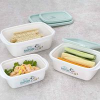 岩崎工業 保存容器 940ml スヌーピー フラップ付コンテナ 2個セット 454118 1個（直送品）