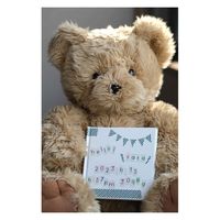 カモ井加工紙 マスキングテープ mt PAPIER TIGRE Les numeros 15mm×7m 424886 1個（直送品）