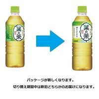 ダイドードリンコ 葉の茶　525ml 1セット（48本）