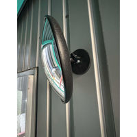 アラオ カーブマグミラー AR-4306 1個（直送品）