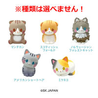 エスケイジャパン ゆめふわねこバスボール お日さまのかおり 75g 1回分 16503 1個（直送品）