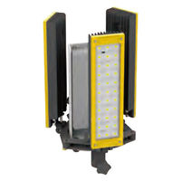 ネクセル LEDフラッドライト 40000lm LL360ー300W 1台（直送品）