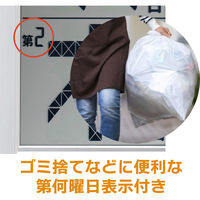 アデッソ メガ曜日日めくり電波時計 HM-704 1台（直送品）