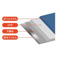 シービージャパン ランチバッグ 保冷ランチトートバッグ maneuver Sサイズ ブラック 465704 1個（直送品）