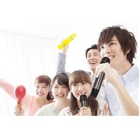 東京企画販売 TOーPLAN アンプ内蔵カラオケスピーカー サウンドプロMAX TKMI-008 1台