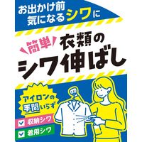 衣類のシワ伸ばしミスト シワトル 無香料 300mL 1セット（1本×5） 白元アース