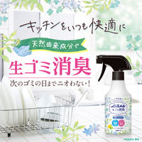 ノンスメル生ごみ消臭スプレー レモンライムの香り 300mL 1セット（1本×3） 白元アース