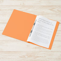 プラス PPフラットファイルA4SOR 98290 1セット(1冊×5)