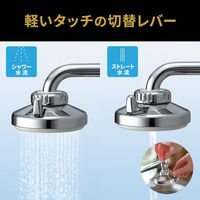 クリタック クリシャワープロDX+ 4971605030937 1個