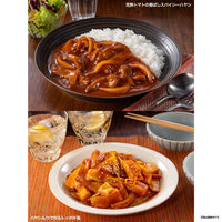 完熟トマトのハヤシライスソース 香ばしスパイシーハヤシ （4皿分×2）1個 ハウス食品 ステーキ　ローストビーフ