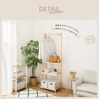 武田コーポレーション ハンガー付き プランターラック3段 W80 LN-E-HPR80 1箱(1個入)（直送品）