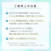 トーヨ ペーパータオル トーヨベルナ 150組 48E 1個