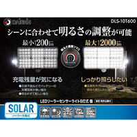大進 人感 センサーライト ソーラー 屋外 LED 防雨 防犯 DLS-10T600 1セット（1台×2）（直送品）