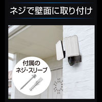 大進 センサーライト ソーラータイプ 屋外用 2灯式 1セット（1台×2）（直送品）