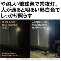 大進 人感 センサーライト 100V コンセント 屋外 常夜灯 DLA-12T100 1セット（1台×2）（直送品）
