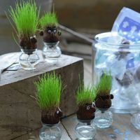 【園芸用品】DoLABO hair LABO 水耕栽培セット スマート 69000 1個