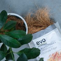 【園芸用品】DoLABO evo 鉢植えをキレイにみせるココヤシファイバー ブラウン 54030 1個
