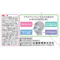 ストナファミリー 40錠 佐藤製薬 風邪薬 のどの痛み 鼻水 せき たん【第2類医薬品】
