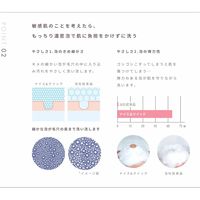 NICE＆QUICK（ナイスアンドクイック）ボタニカルボディウォッシュ フルーティシャインの香り  詰替え 400mL 液体タイプ