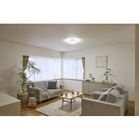 アイリスオーヤマ LEDシーリングライト SeriesQ 12畳調光調色 CEA12DL-5.0Q 1台