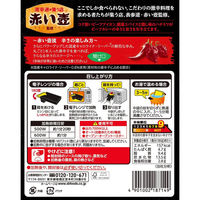 期間限定 エスビー 赤い壺監修 本辛ビーフカレー（唐辛子丸ごと1本）1人前・180g 1セット（1個×3）レトルト レンジ対応