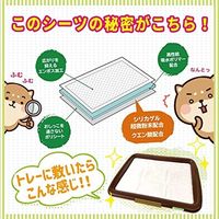 驚くほどニオイが消える ペットシーツ 消臭主義 レギュラー 国産 50枚入 1袋 ボンビアルコン 犬用