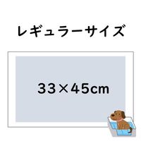 しつけるシーツ W消臭 NEO レギュラー 60枚入 1袋 ボンビアルコン