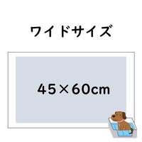 しつけるシーツ W消臭 NEO ワイド 30枚入 1袋 ボンビアルコン