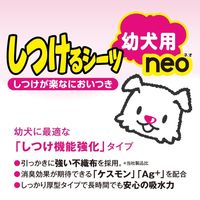 しつけるシーツ 幼犬用 NEO レギュラー 40枚入 1セット（1袋×6）ボンビアルコン