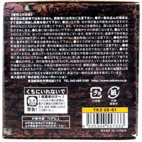 ノルコーポレーション 宝物発見シリーズ MEGA秘宝伝説 1セット TKZ-20-01 1個（直送品）