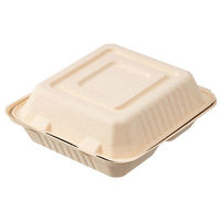 ストリックスデザイン 未晒しバガスモールド フードパックスクエア 仕切付 1袋（25枚入）（わけあり品）