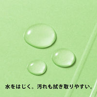 アスクル フラットファイル PPラミネート（コクヨ製造） A4タテ グリーン 10冊 オリジナル（わけあり品）
