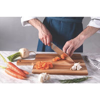 TRAMONTINA カッティングボード 手付中 13276/351 1枚（直送品）