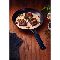 TRAMONTINA IH対応 鉄フライパン 22cm 20766/022 1本（直送品）