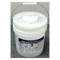 スリーボンド 抗菌・防カビウェットワイパー 150枚 TB6701C 1個（直送品）