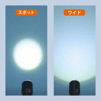 コンテック アクアフォーカスハンドライト3×1 SE-31 1箱（直送品）