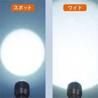 コンテック アクアフォーカスハンドライト4×3 SE-43 1箱（直送品）