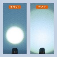 コンテック アクアフォーカスハンドライト3×2 SE-32 1箱（直送品）