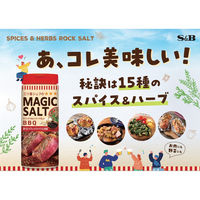 マジックソルト バーベキュー 80g 1個 エスビー食品 岩塩 スパイス ハーブ
