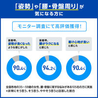 メディエイド スタイルケア 骨盤ベルト L 751203 日本シグマックス　サポーター