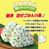 丸美屋 混ぜ込みわかめ 若菜 29g 1個 丸美屋食品工業 ふりかけ