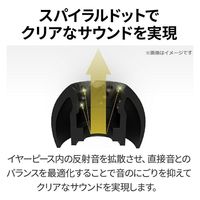 JVCケンウッド イヤーピース EP-FX12L EP-FX12MS-B 1セット（直送品）