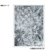 万丈 V ポスター額 A1判 106733 1枚