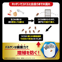 バルサンコバエ2000 1セット（1箱（2個入）×3） レック