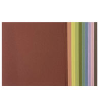 協和紙工 カラーペーパー　にほんのいろ 05ー795 1セット（1パック（20枚入）×10）