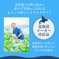 ロワール カタログギフト カード型 北海道グルメ直送便カード 20000ポイント 包装有 PH20000 1個（直送品）