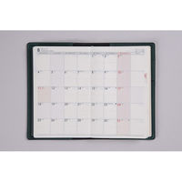 高橋書店 【2025年4月版】T'beau3 手帳判 片側1週間+ノート 月曜始まり パイングリーン 854 1冊（直送品）