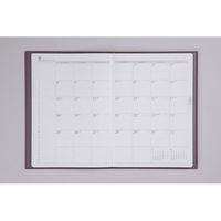 高橋書店 【2025年4月版】デスクダイアリーカジュアル2 A5 見開き1週間 月曜始まり レッド 962 1冊（直送品）