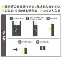 サーモス ポケットバッグ 23L チャコール REXー0231 CHL 1個