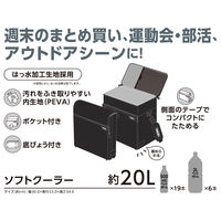 サーモス ソフトクーラー 20L オールブラック RFDー0201 ALB 1個